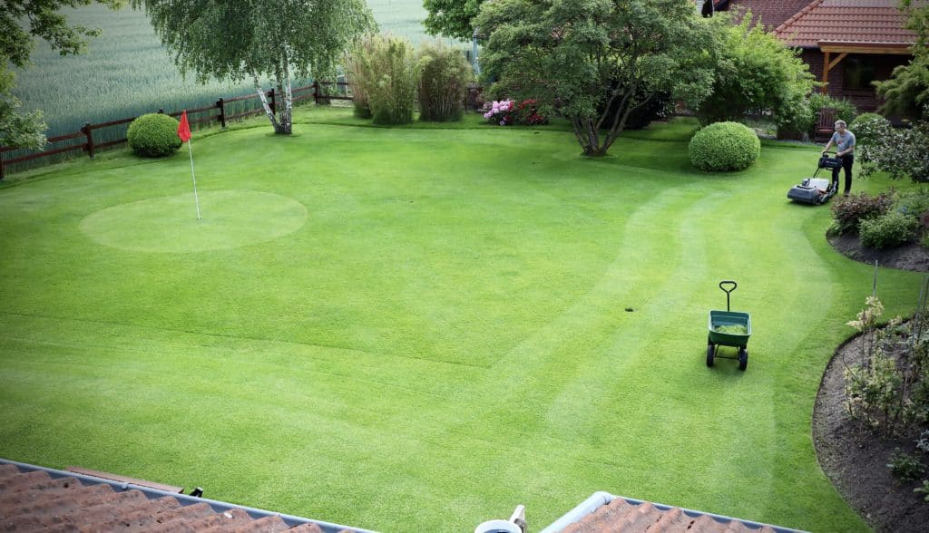 Kontakt – Rasenfreak