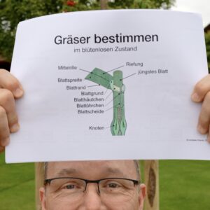 Gräser bestimmen (PDF)